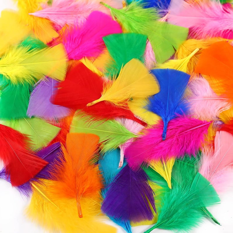 Soarer Colorful Craft Turkey Feathers - 300pcs 3-5inch Colored Feathers for Kindergarten DIY Crafts,Wedding Home Party Decorations,Dream Catcher Supplies(Turkey Colorful) - Image 1